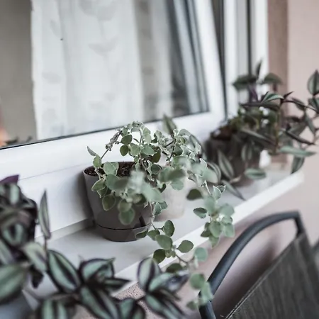 Апартаменты Centar