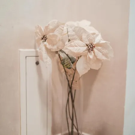 Apartment Centar *